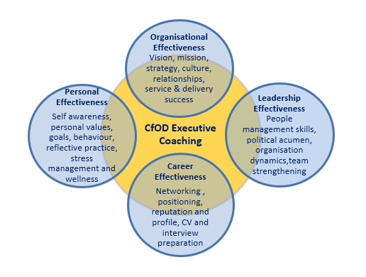 Executive Coaching